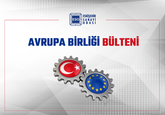 AVRUPA BİRLİĞİ BÜLTENİ/18.11.2024